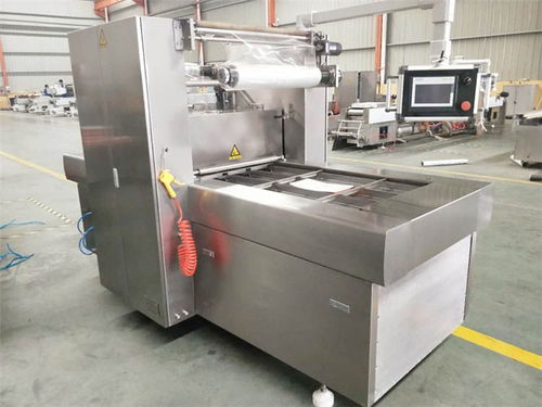 上海雙室擺蓋真空包裝機聯(lián)系電話 質(zhì)量放心可靠，優(yōu)選諸城廣元機械設(shè)備